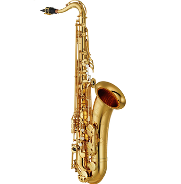 Saxophone YTS-480